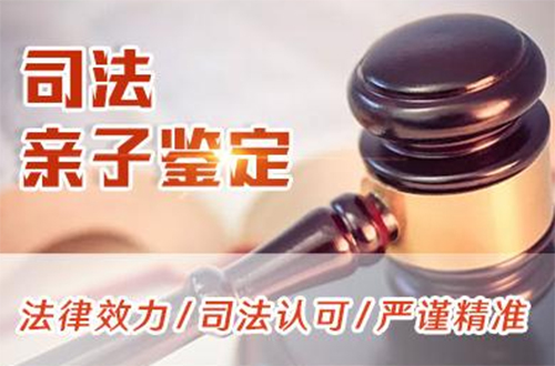 金华司法DNA亲子鉴定多少钱,金华司法亲子鉴定如何做